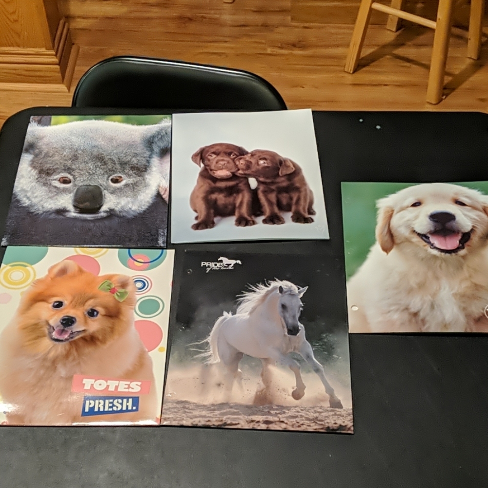 5 Animal Pocket Folders: dogs, horses, koala
